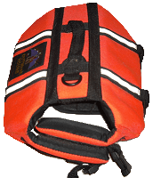 Life vest